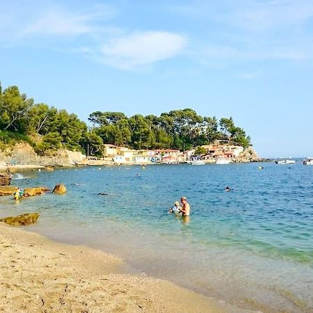 T2 Cosy Toulon, Proche Plage Dış mekan fotoğraf