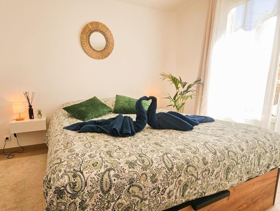 T2 Cosy Toulon, Proche Plage Dış mekan fotoğraf